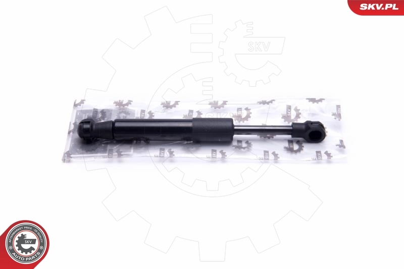 Gas Spring, boot/cargo area
